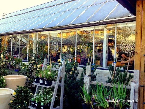 clifton nurseries